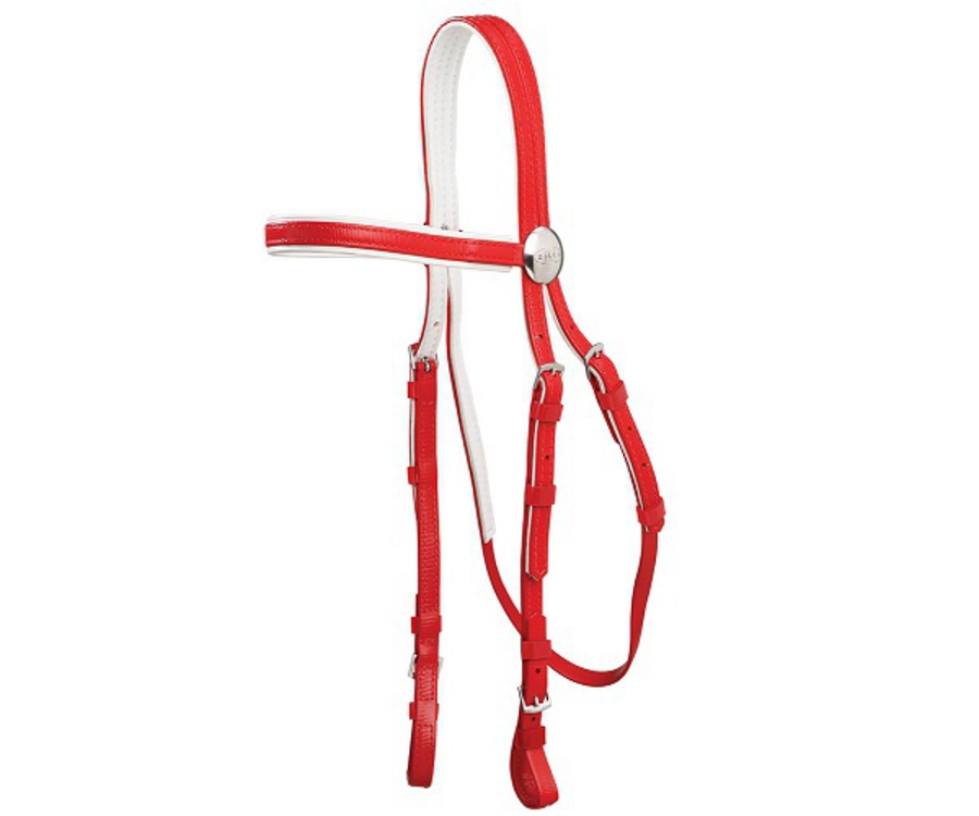 Zilco Race Bridle with White Trim image 2